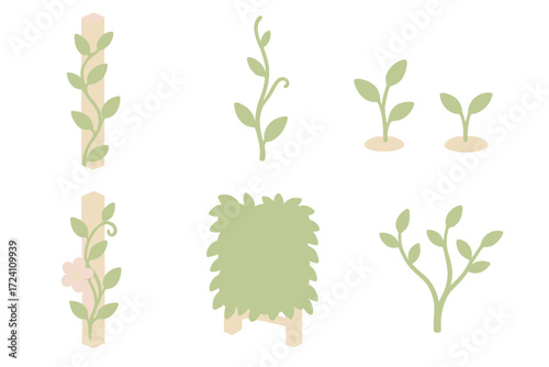 Climbing Vine Stages. Isometric vector illustration set Climbing Vine Growth: vine wrapping around trellis post, tendrils reaching