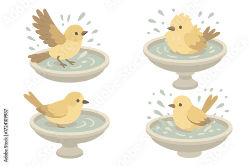 Birds Enjoying Birdbath. Isometric vector illustration set Birds Bathing and Splashing: bird fluttering in shallow water, feathers