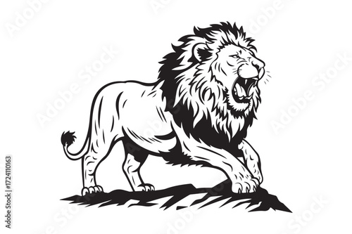 Majestic lion roaring with full mane on a rocky surface