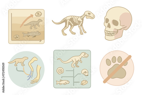 Evolution Timeline Icons. Isometric vector illustration set Evolution and fossil evidence: timeline chart with fossils,