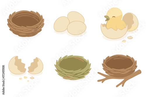 Nest and Hatchlings. Isometric vector illustration set nest twig egg hatchling: compact twig nest, oval eggs laying, chick