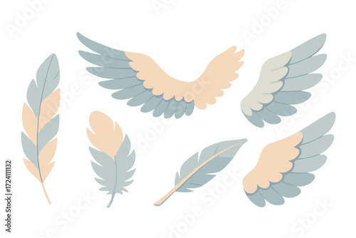 Feathers and Wings. Isometric vector illustration set feather flight wing molt: decorative feather shape, extended wing spread,