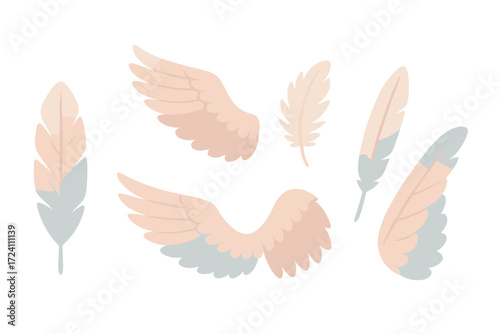Feathers and Wings. Isometric vector illustration set feather flight wing molt: decorative feather shape, extended wing spread,