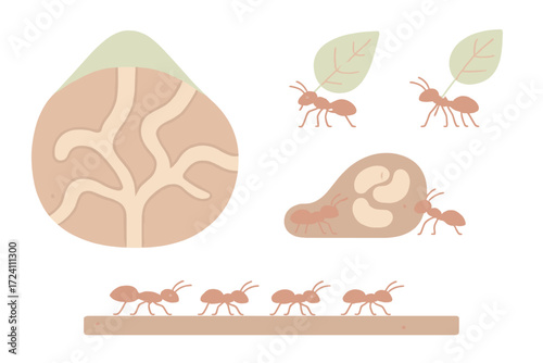 Ant Colony Cross-section. Isometric vector illustration set ant colony tunnel teamwork: cross-section ant hill, ants carrying