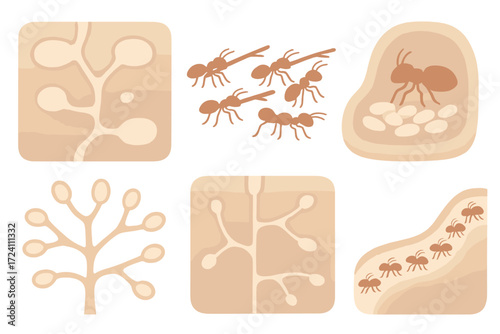 Ant Colony Teamwork. Isometric vector illustration set ant colony tunnel teamwork: underground colony map, ants carrying twigs,