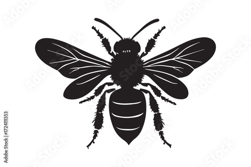 Detailed silhouette of a honey bee with intricate wing patterns
