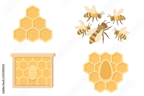 Queen Bee Hive. Isometric vector illustration set hive honey bee queen: hexagonal honeycomb cells, queen bee larger size, worker