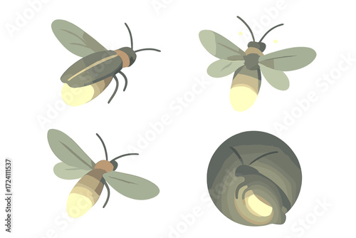 Firefly Glow Illustration. Isometric vector illustration set firefly glow night signal: glowing insect detail, abdomen light