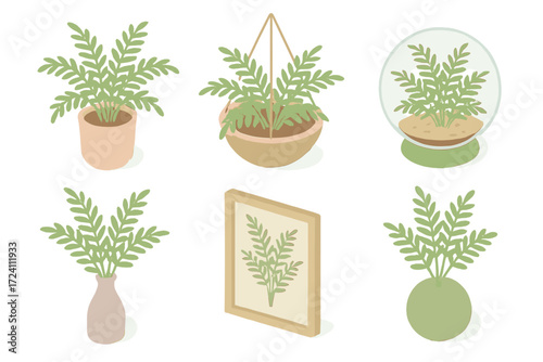 Fern Garden Decor. Isometric vector illustration set Fern garden decor: potted indoor fern, fern in hanging basket, fern terrarium