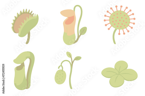 Carnivorous Plant Icons. Isometric vector illustration set Carnivorous plant species: Venus flytrap closed trap, pitcher plant