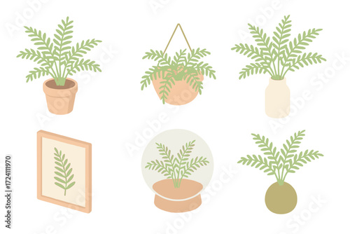 Fern Garden Decor. Isometric vector illustration set Fern garden decor: potted indoor fern, fern in hanging basket, fern terrarium