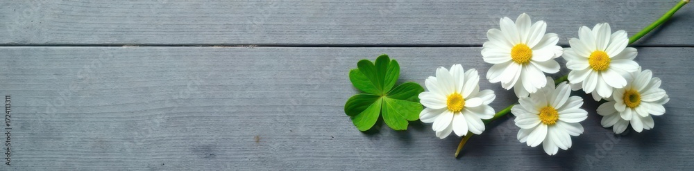Obraz premium Four white flowers and a small green clover rest on a gray wooden background , stock, serene, rustic