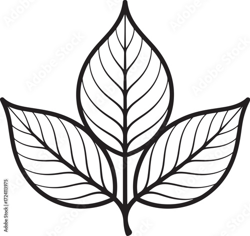 Sacred Hindu Bel Leaf Vector Illustration | Black and White Line Art | Puja Ritual Worship Botanical Symbol