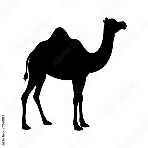 camel on a white background
