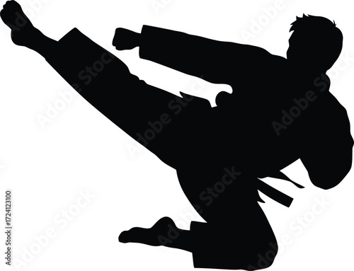 Martial artist performing dynamic karate kick silhouette action silhouette