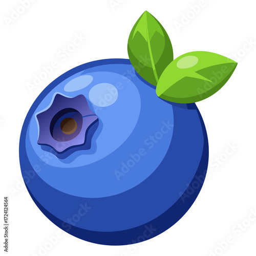 Isolated blueberry illustration fresh fruit healthy eating antioxidant rich superfood berry diet food