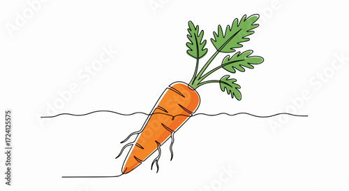 Carrot in ground under wavy surface with green leaves. Fresh carrot is in ground under wavy surface, delicious healthy root vegetable is growing in fertile garden, nutritious food for balanced diet.