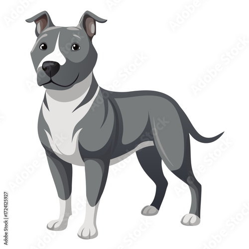 Illustration of a gray pitbull dog breed standing profile view domestic animal pet canine drawing vector