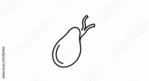 Human gallbladder illustration, representing biliary system, for medical designs and educational materials. Gallbladder, a vital organ illustration, is shown for science, healthcare, and anatomy.