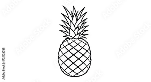 pineapple vector illustration