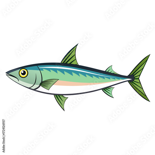Illustration of mackerel fish swimming in ocean vector drawing of marine animal wildlife art design