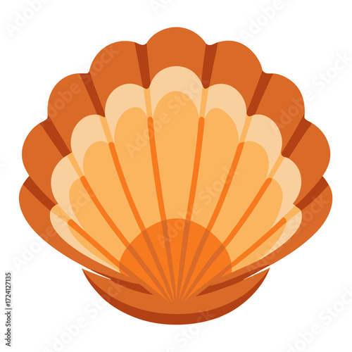 Illustration of a beautiful seashell scallop sea ocean beach nature summer marine life coastal art design