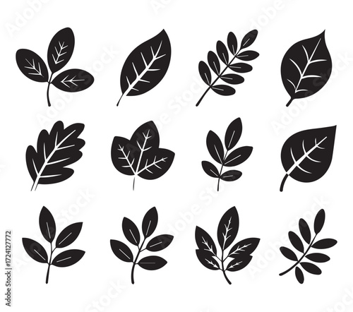 Collection of hand drawn black and white leaf silhouettes