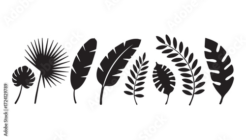 Collection of black tropical leaves silhouettes on white background.