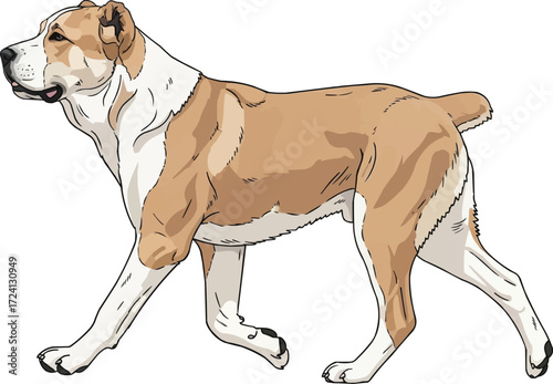 Central Asian Shepherd dog trotting side view vector illustration