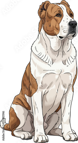 Central Asian Shepherd dog sitting pose alert looking away