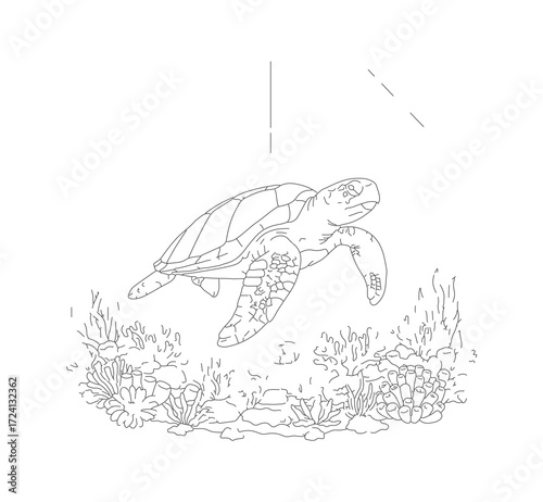 turtle on the water