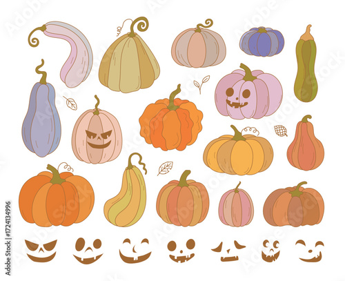 a variety of Halloween pumpkins
