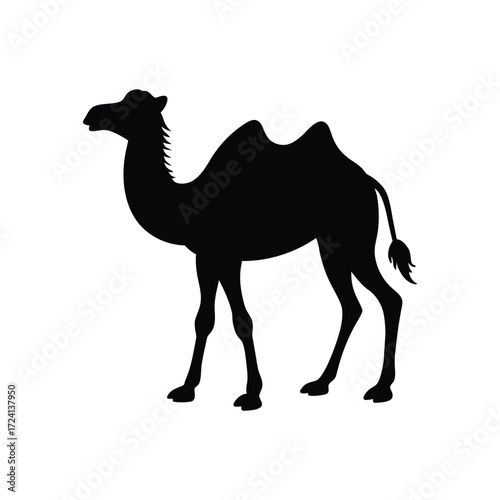 silhouette vector illustration of a camel