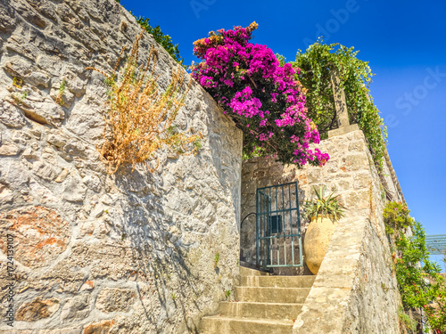 Landscape in Sudurad, one of the Elaphiti islands near Dubrovnik, Croatia