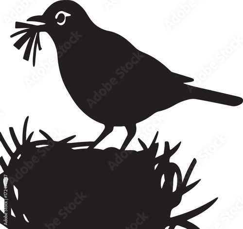 Black bird holding nesting material in beak on nest
