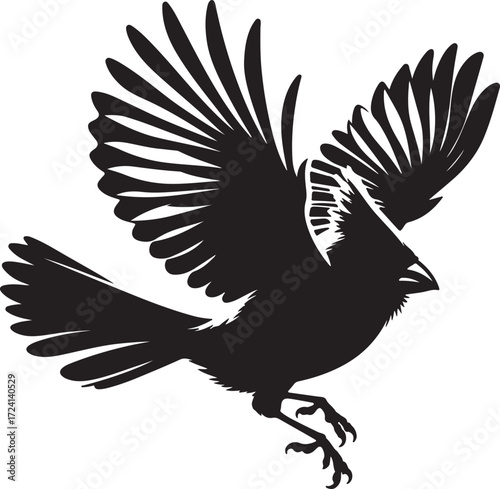 Black bird in flight flying white