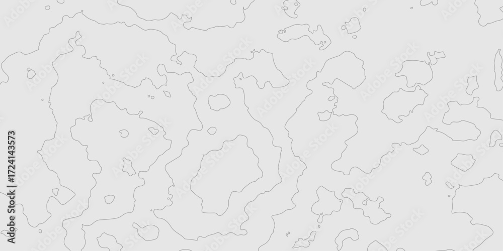 Fototapeta premium Abstract grey topography curve line texture geographic terrain grid map minimalist mountain relief monochrome landscape background, geometric seamless wavy line contour pattern modern art design.