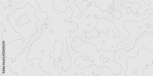Abstract grey topography curve line texture geographic terrain grid map minimalist mountain relief monochrome landscape background, geometric seamless wavy line contour pattern modern art design.