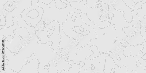 Abstract grey topography curve line texture geographic terrain grid map minimalist mountain relief monochrome landscape background, geometric seamless wavy line contour pattern modern art design.