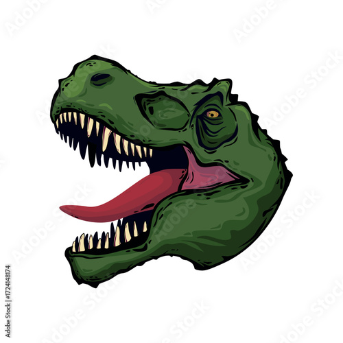 Tyrannosauru's colored  head isolated on white. Vector illustration.