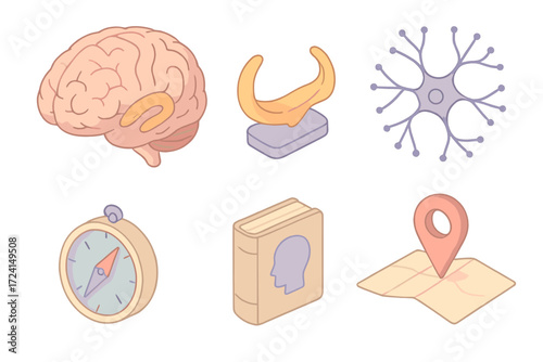 Hippocampus Function Illustration. Isometric vector illustration set Hippocampus Function: 3D brain cutaway, highlighted