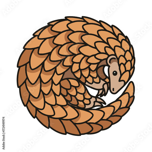 
pangolin illustration design