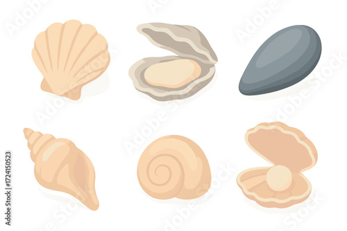 Isometric Shell Collection. Isometric vector illustration set Shell variations: scallop shell, oyster shell, mussel shell, conch