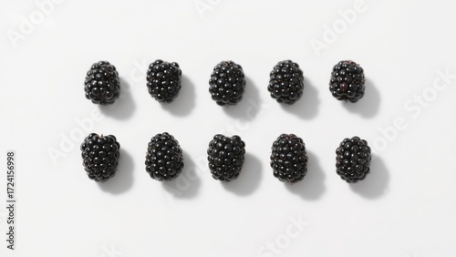 Ten blackberries arranged in two rows on a white background