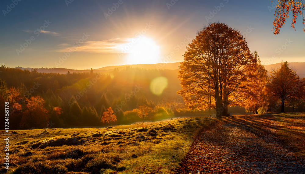 Fototapeta premium Under The Autumn Sun