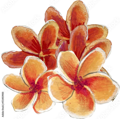 Tropical Floral Vector Pattern