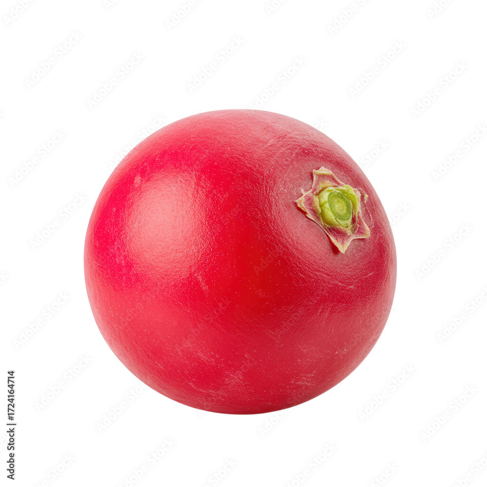 Obraz premium Single red cranberry isolated on transparent background