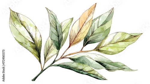 Elegant Hand-Drawn Watercolor Plant Illustration