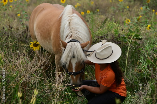 Junge nicht erkennbare Frau neben einem Pferd in einem Sonnenblumenfeld