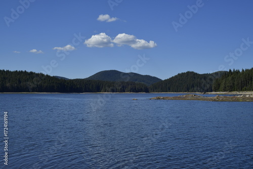 Landscape - water, trees, blue sky and clouds
